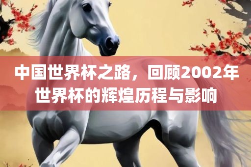中国世界杯之路，回顾2002年世界杯的辉煌历程与影响
