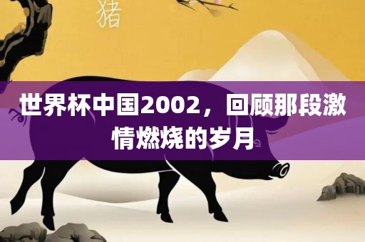 世界杯中国2002，回顾那段激情燃烧的岁月