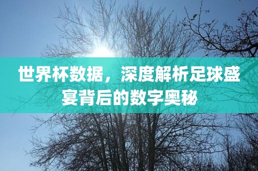 世界杯数据，深度解析足球盛宴背后的数字奥秘