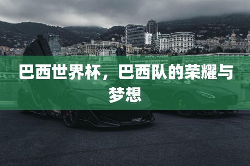 洪湖市顺升工程机械租赁有限公司巴西世界杯，巴西队的荣耀与梦想