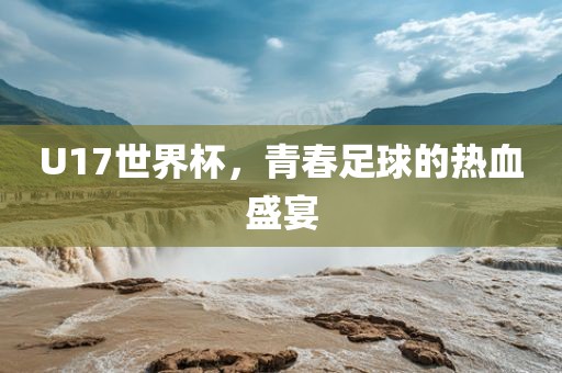 U17世界杯，青春足球的热血盛宴