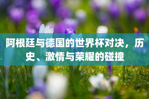 阿根廷与德国的世界杯对决，历史、激情与荣耀的碰撞