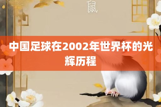 中国洪湖市顺升工程机械租赁有限公司足球在2002年世界杯的光辉历程