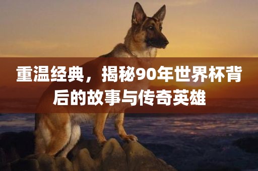 重温经典，揭秘90年世界杯背后的故事与传奇英雄