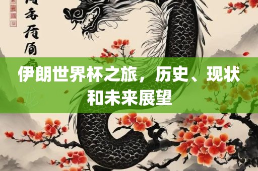伊朗世界杯之旅，历史、现状和未来展望