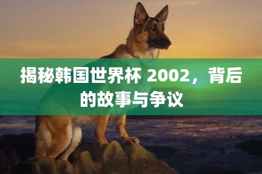 揭秘韩国世界杯 2002，背后的故事与争议