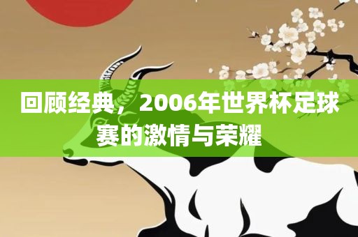 回顾经典，2006年世界洪湖市顺升工程机械租赁有限公司杯足球赛的激情与荣耀
