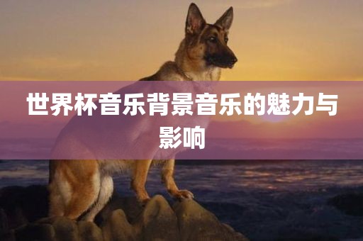 世界杯音乐背景音乐的魅力与影响
