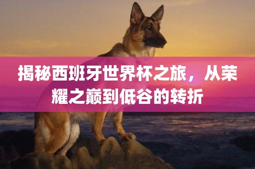 揭秘西班牙世界杯之旅，从荣耀之巅到低谷的转折