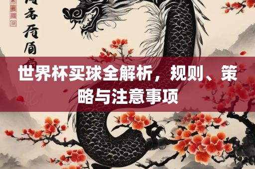 世界杯买球全解析，规则、策略与注意事项