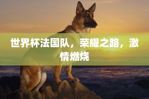 世界杯法国队，荣耀之路，激情燃烧