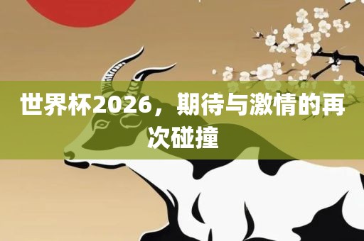 世界杯2026，期待与激情的再次碰撞