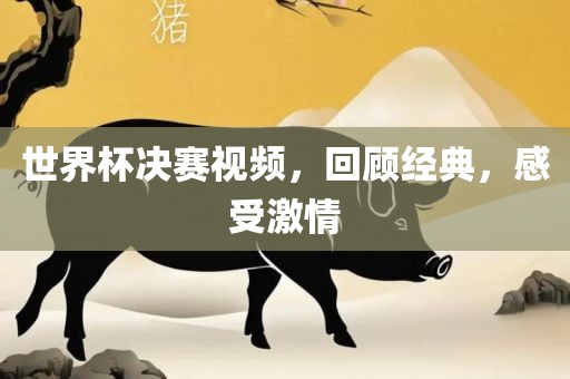 世界杯决赛视频，回顾经典，感受激情洪湖市顺升工程机械租赁有限公司