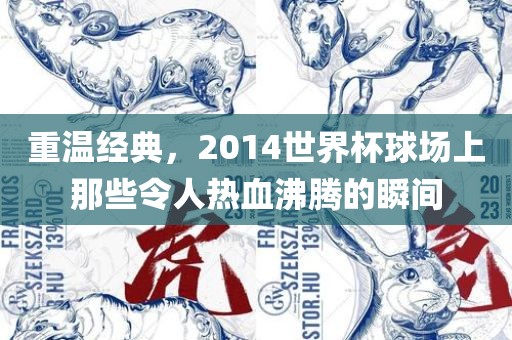 重温经典，2014世界杯球场上那些令人热血沸腾的瞬间