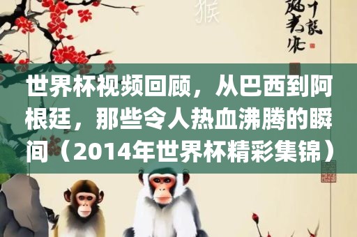 世界杯视频回顾，从巴西到阿根廷，那些令人热血沸腾的瞬间（2014年世界杯精彩集锦）