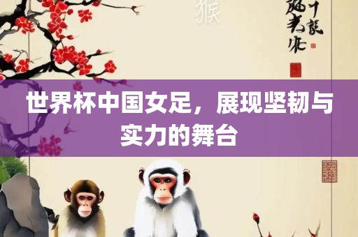 世界杯中国女足，展现坚韧与实力的舞台