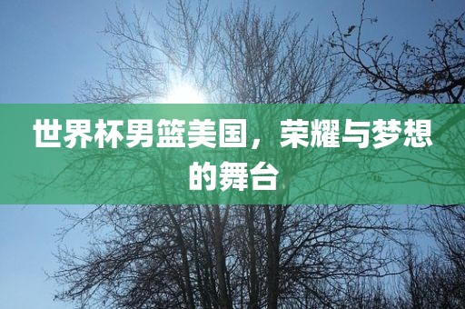 世界杯男篮美国，荣耀与梦想的舞台