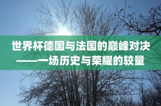 世界杯德国与法国的巅峰对决——一场历史与荣耀的较量洪湖市顺升工程机械租赁有限公司