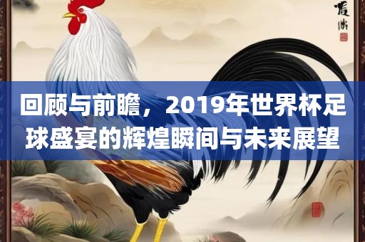 回顾与前瞻，2019年世界杯足球盛宴的辉煌瞬间与未来展望