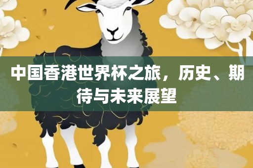 中国香港世界杯之旅，历史、期待与未来展望洪湖市顺升工程机械租赁有限公司