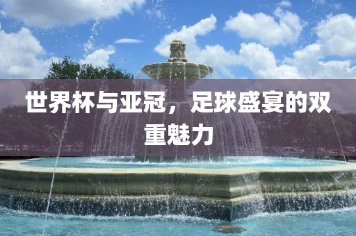 足球盛宴 第5页