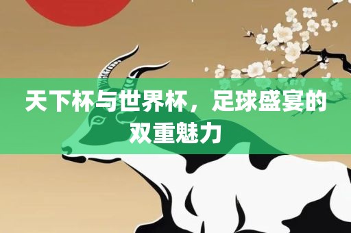 天下杯与世界杯，足球盛宴的双重魅力洪湖市顺升工程机械租赁有限公司