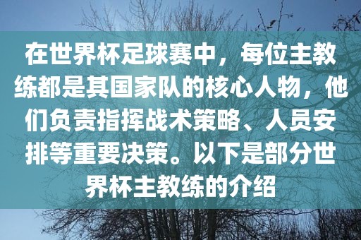 在世界杯足球赛中，每位主教练都是其国家队的核心人物，他们负责指挥战术策略、人员安排等重要决策。以下是部分世界杯主教练的介绍