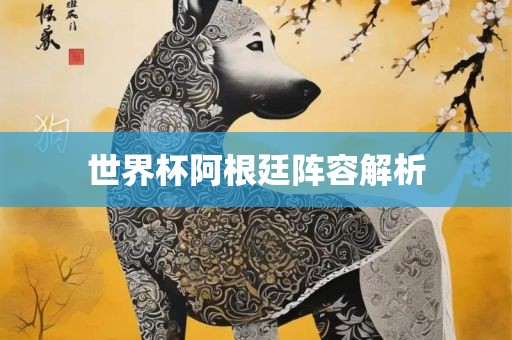 世界杯阿根廷阵容解析洪湖市顺升工程机械租赁有限公司