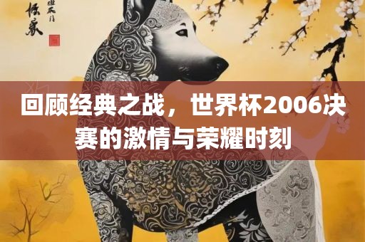 回顾经典之战，世界杯2006决赛的激情与荣耀时刻