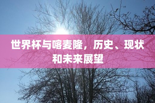 世界杯与喀麦隆，历史、现状和未来展望