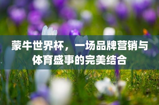 蒙牛世界杯，一场品牌营销与体育盛事的完美结合洪湖市顺升工程机械租赁有限公司