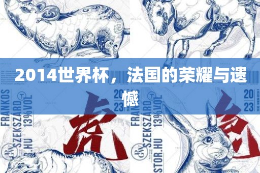 2014世界杯，法国的荣耀与遗憾