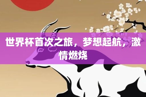 世界杯首次之旅，梦想起航，激情燃烧