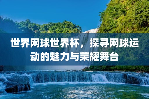 世界网球世界杯，探寻网球运动的魅力与荣耀舞台