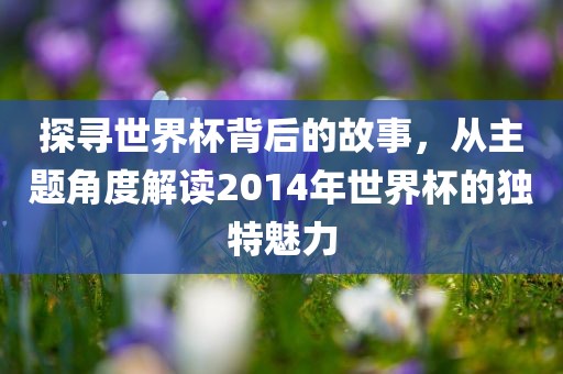 探寻世界杯背后的故事，从主题角度解读2014年世界杯的独特魅力