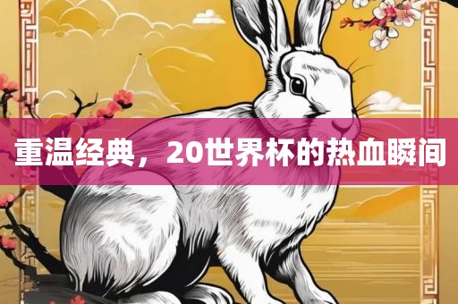 重洪湖市顺升工程机械租赁有限公司温经典，20世界杯的热血瞬间