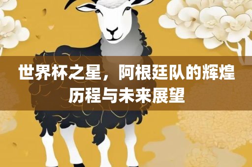 世界杯之星，阿根廷队的辉煌历程与未来展望