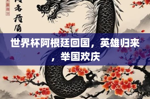 世界杯阿根廷回国，英雄归来，举国欢庆洪湖市顺升工程机械租赁有限公司