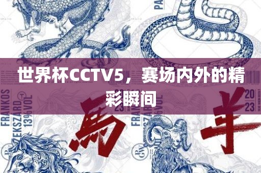世界杯CCTV5，赛场内外的精彩瞬间洪湖市顺升工程机械租赁有限公司
