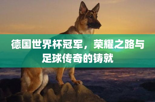 德国世界杯冠军，荣耀之路与足球传奇的铸就