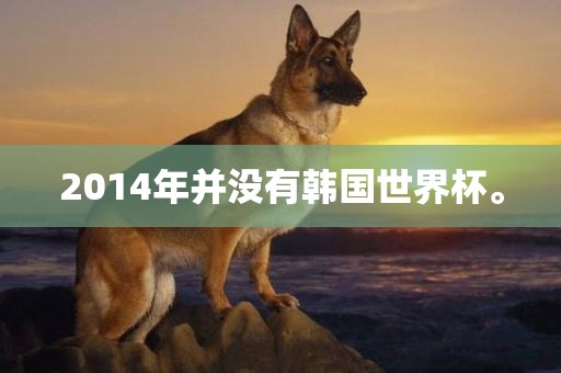 2014年并没有韩国世界杯。