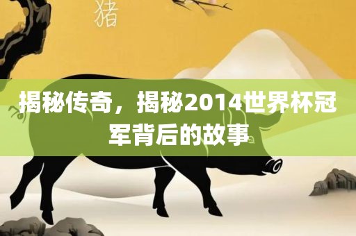 揭秘传奇，揭秘2014世界杯冠军背后的故事