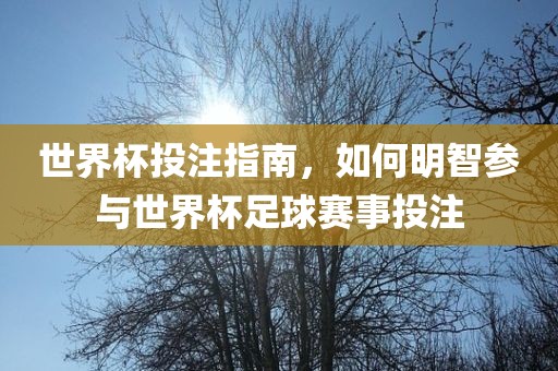 世界杯投注指南，如何明智参与世界杯足球赛事投注洪湖市顺升工程机械租赁有限公司