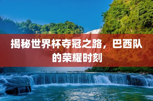 揭秘世界杯夺冠之路，巴西队的荣耀时刻