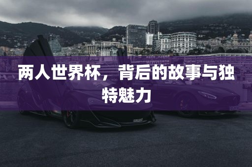 两人世界杯，背后的故事与独特魅力