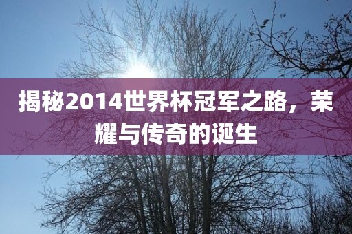 揭秘2014世界杯冠军之路，荣耀与传奇的诞生