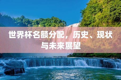 世界杯名额分配，历史、现状与未来展望