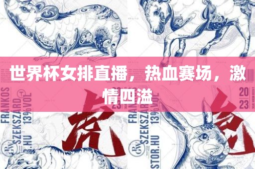 世界杯女排直播，热血赛场，激情四溢