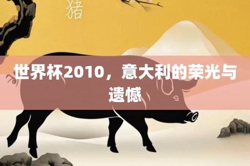 世界杯2010，意大利的荣光与遗憾