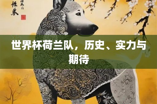 世界杯荷兰队，历史、实力与期待